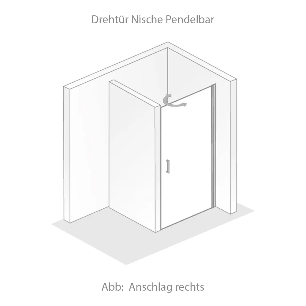 HSK Favorit Nova Drehtür Pendeltür für Nische 75x195cm Alu Silber-matt-Linea 01-Linksanschlag