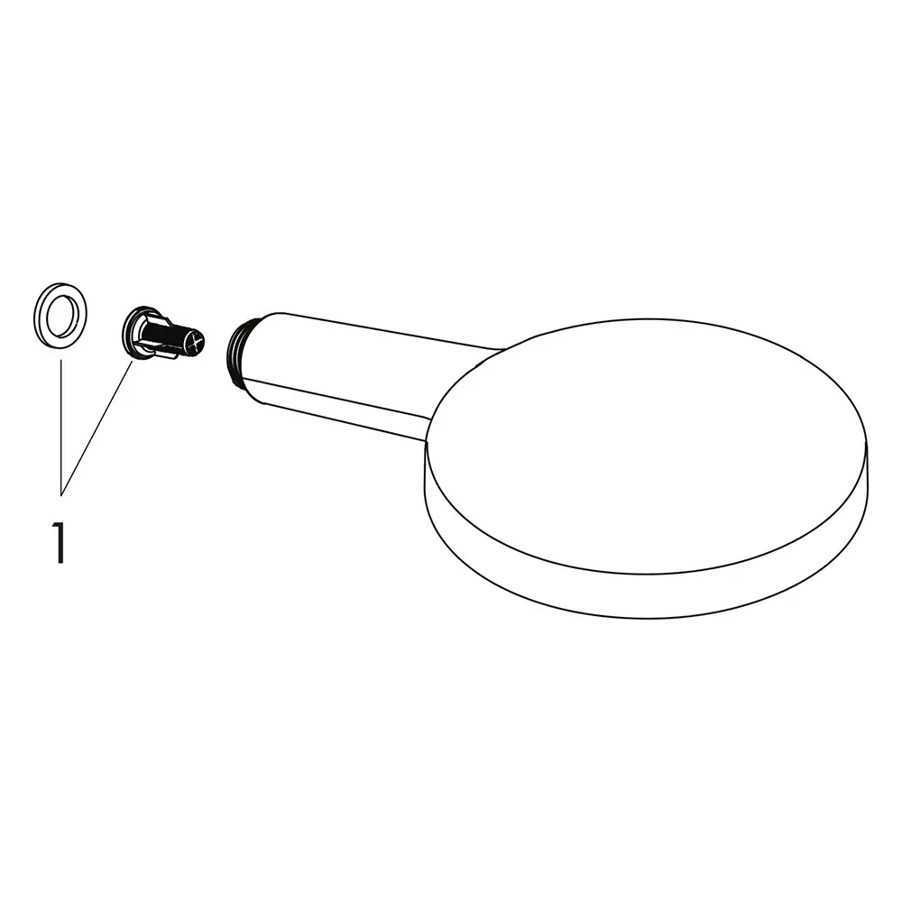 hansgrohe Handbrause Raindance Select S 120 chrom hansgrohe Handbrause Raindance Select S 120 chrom