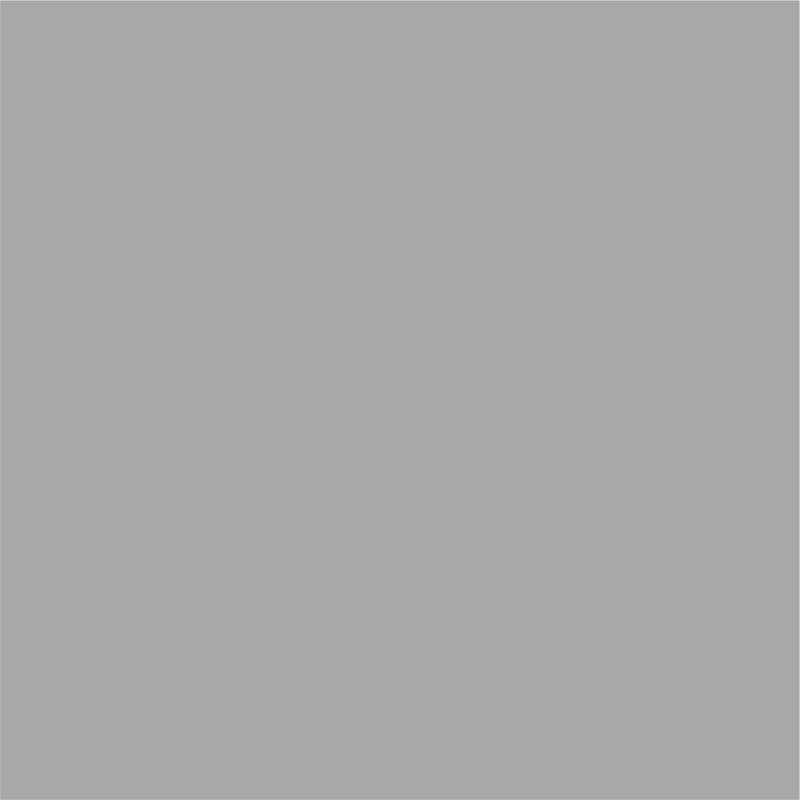 HSK RenoDeco Wandverkleidung | Designplatten | Seidenmatt-Oberfläche 150 x 255 cm Uni, Titan-Grün (863)