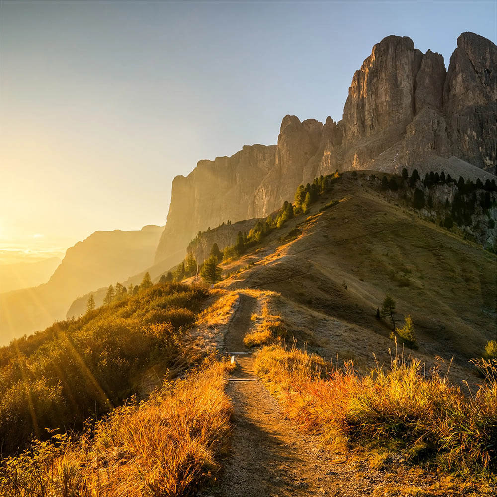 HSK Renodeco Desingplatte | Wandverkleidung | mit individuellen Fotodruck 100 x 255 cm Struktur HSK Renodeco Desingplatte | Wandverkleidung | mit individuellen Fotodruck 100 x 255 cm Struktur