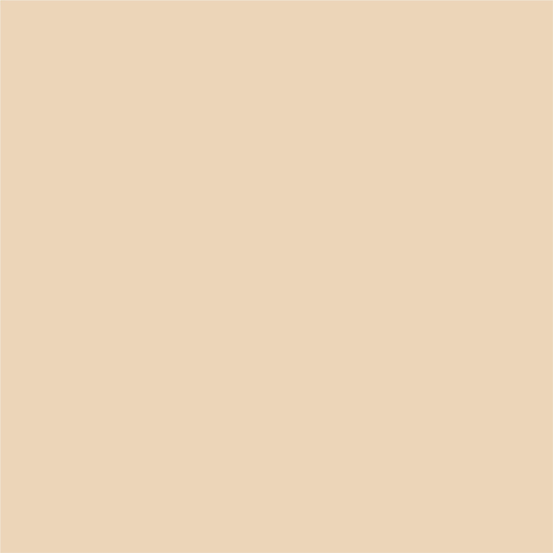 HSK RenoDeco Wandverkleidung | Designplatten | Seidenmatt-Oberfläche 100 × 210 cm-Uni, Crema-Beige (869) HSK RenoDeco Wandverkleidung | Designplatten | Seidenmatt-Oberfläche 100 × 210 cm-Uni, Crema-Beige (869)